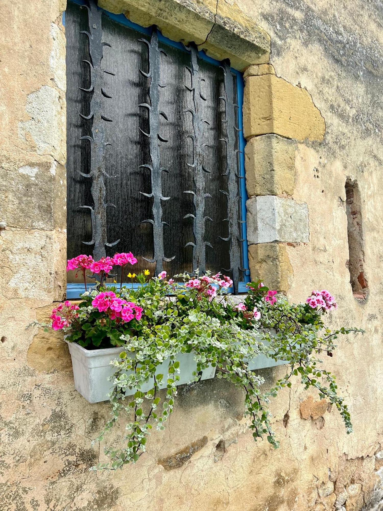 La Maison Anglaise مونبازيير المظهر الخارجي الصورة
